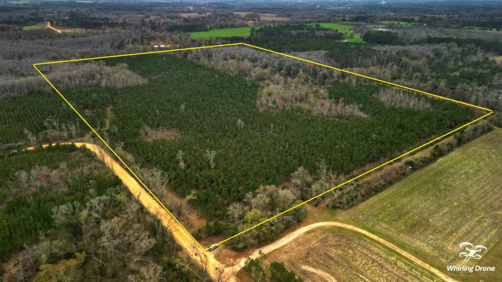 Aerial photo of real estate