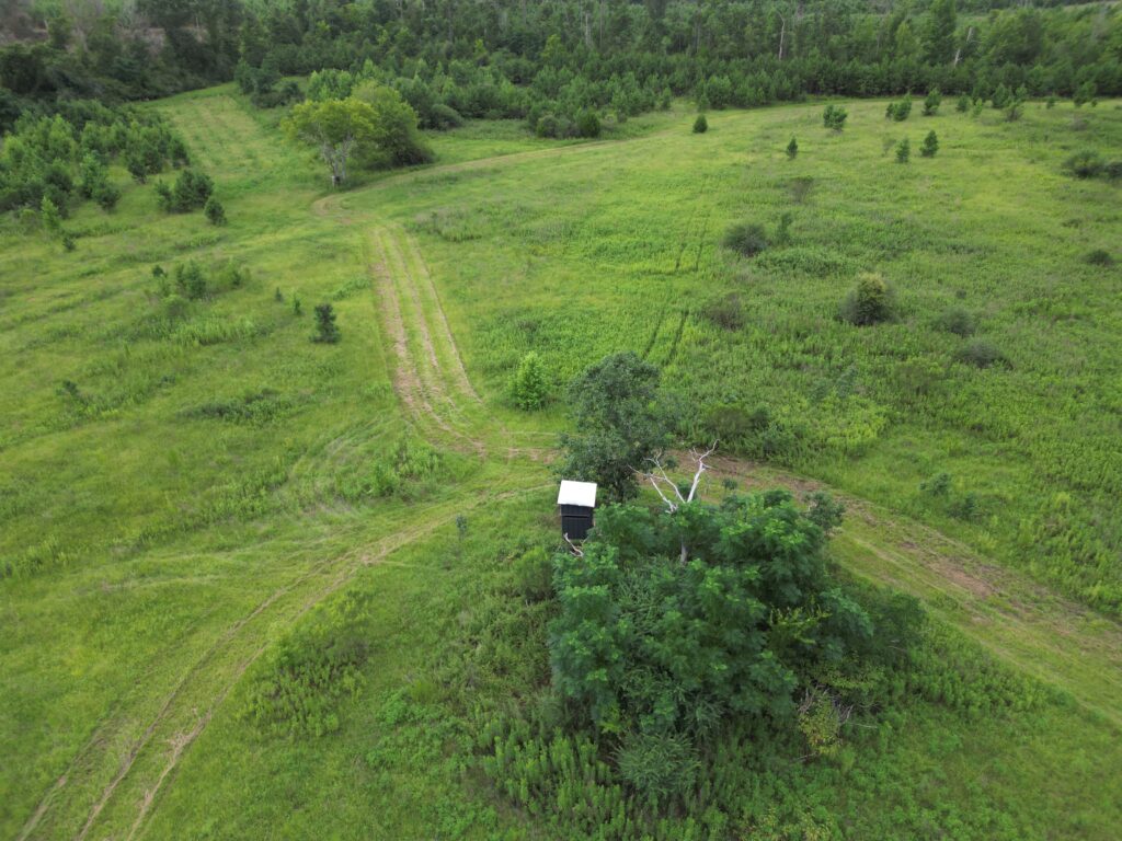 Whirling Drone Real Estate Photo 1017